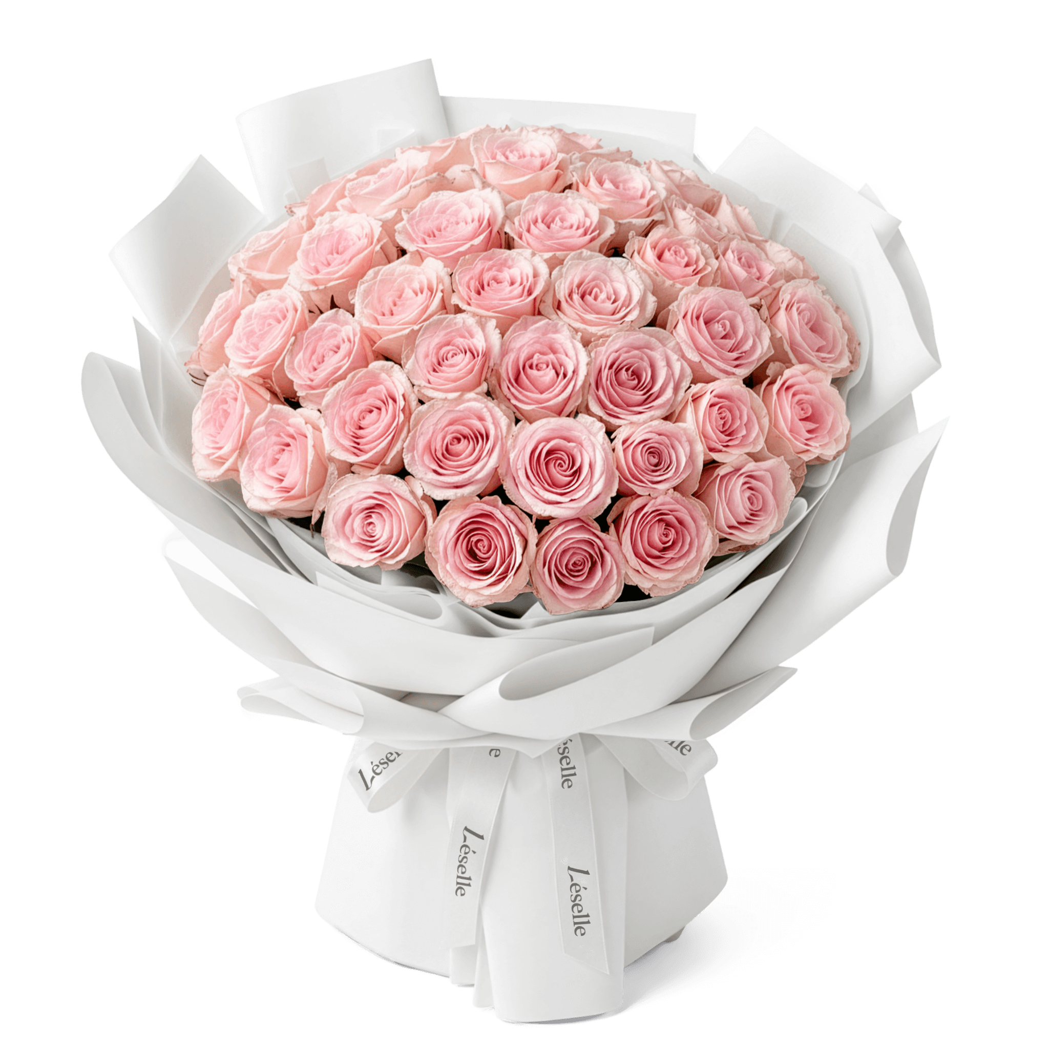 【Valentine's Limited】The Grand Novia // Premium Ecuadorian Blush Rose Bouquet