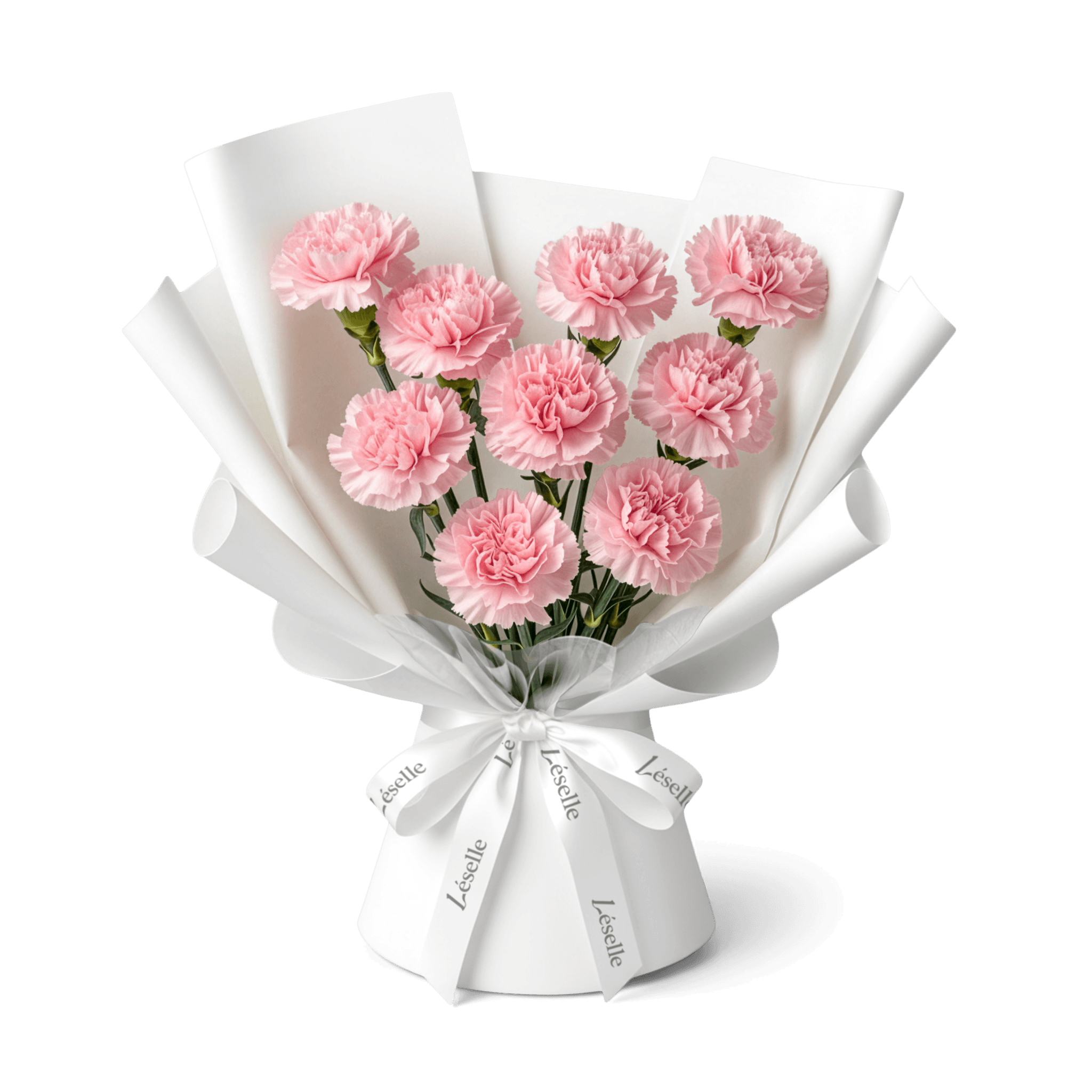 Bouquet of soft pink carnations wrapped in white paper with a white ribbon on a transparent background